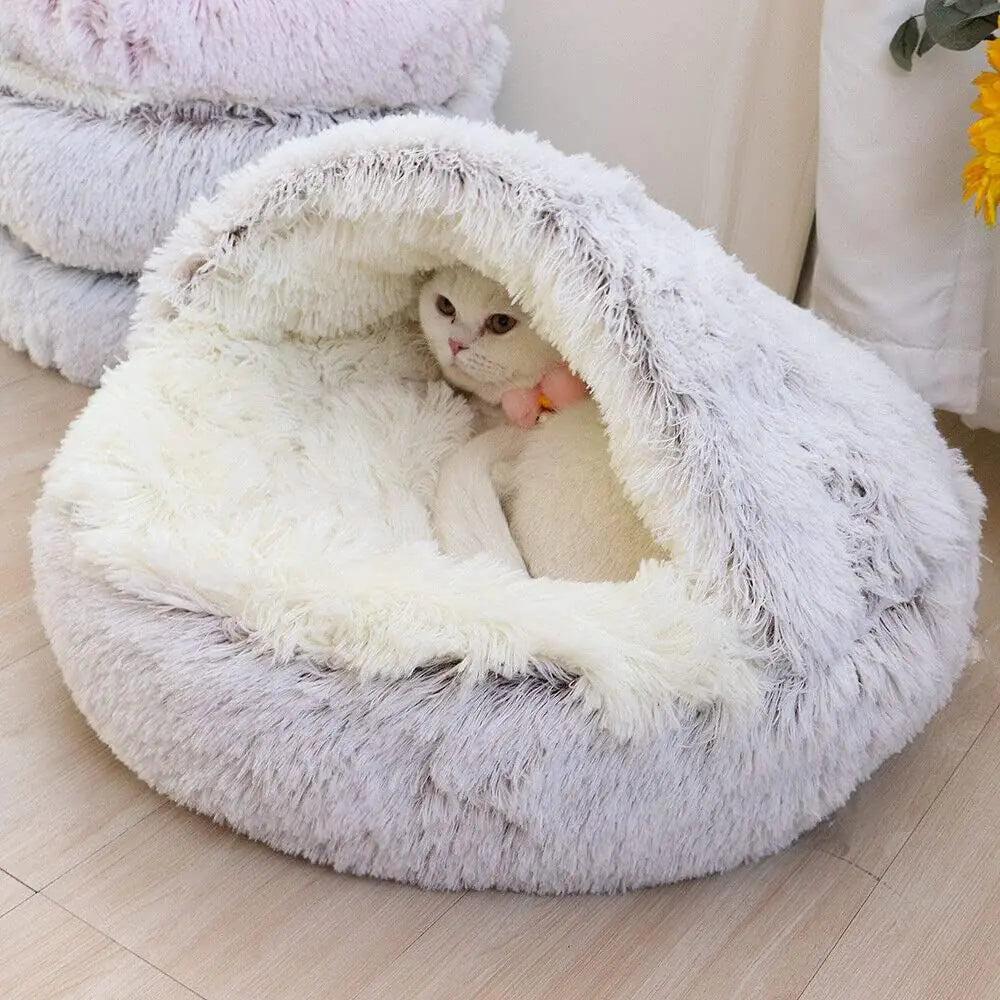 Comfort & Beds