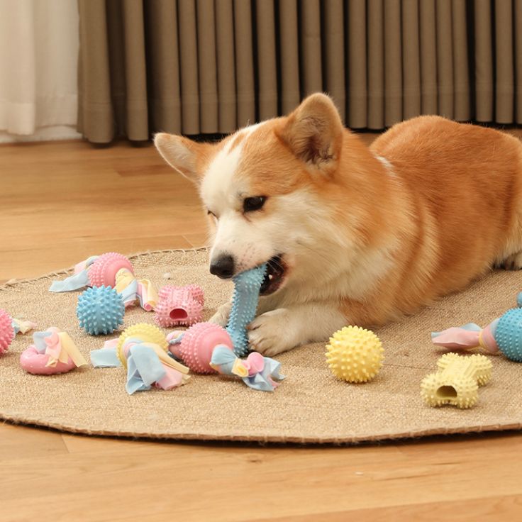 Toys & Activity