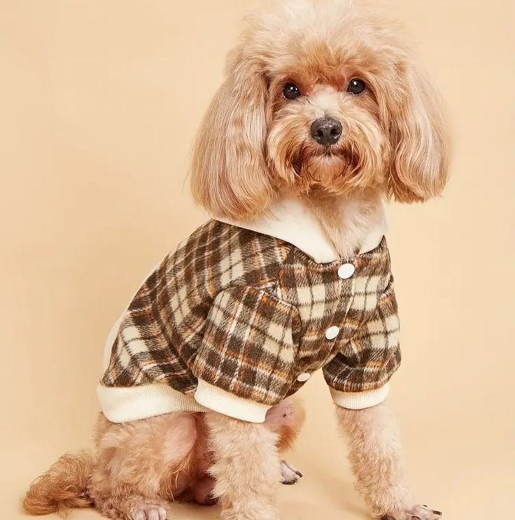 Pet wear
