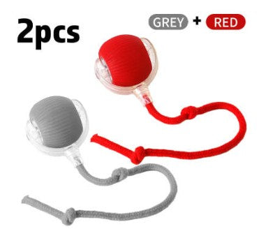 Interactive Rolling Toy Ball