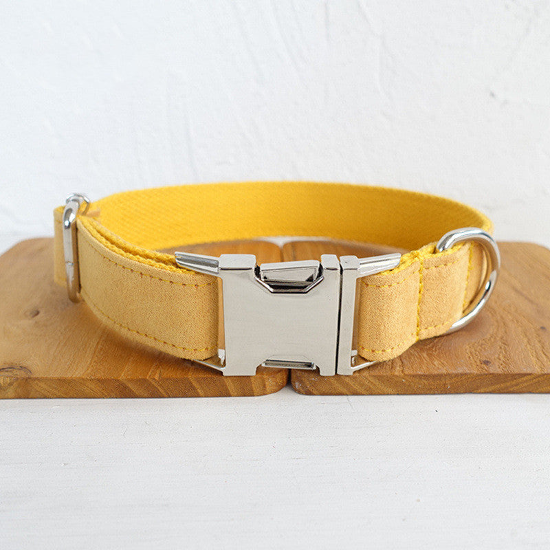 Pet Dog collar and Leash