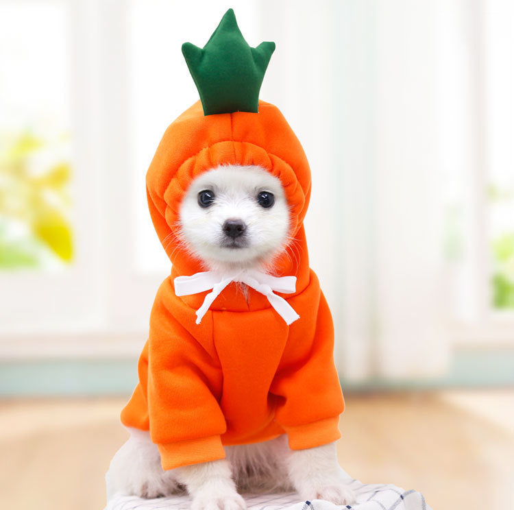 Cute Clothes For Small Dogs