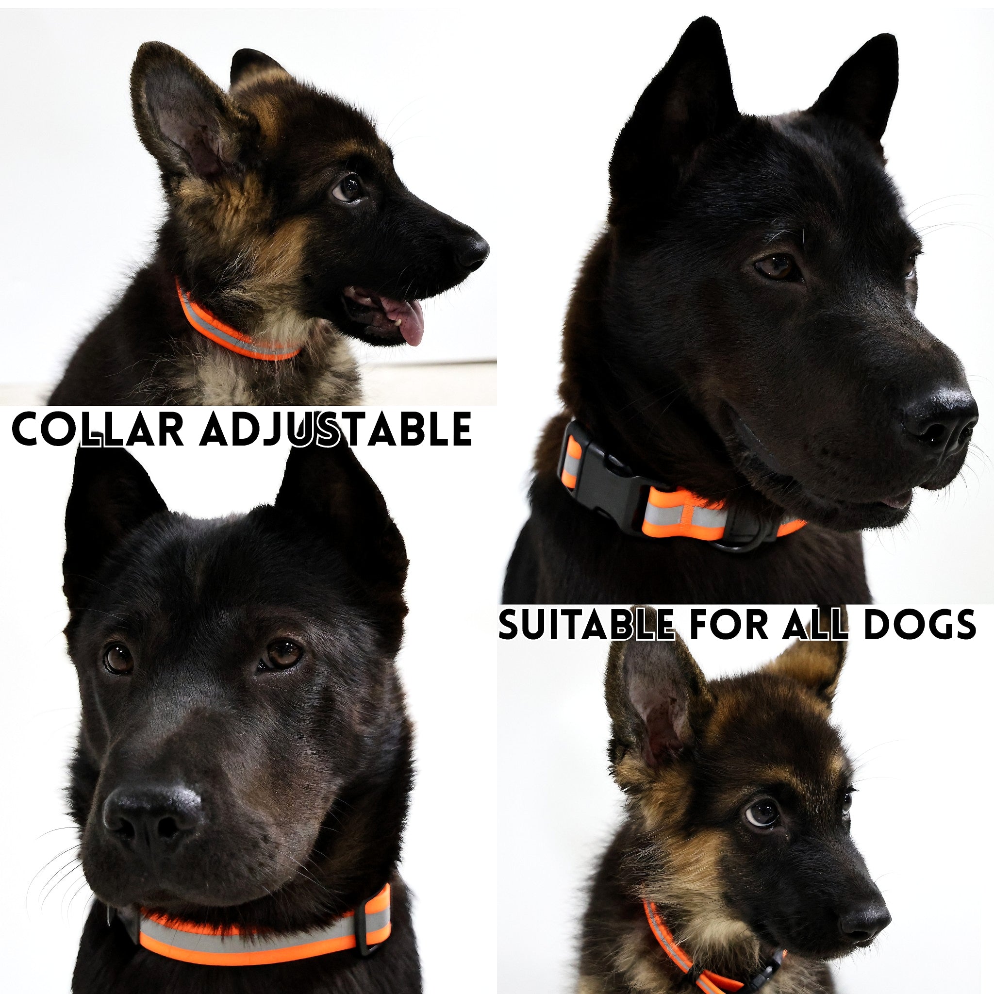 Safety Reflective Leash Of Pets