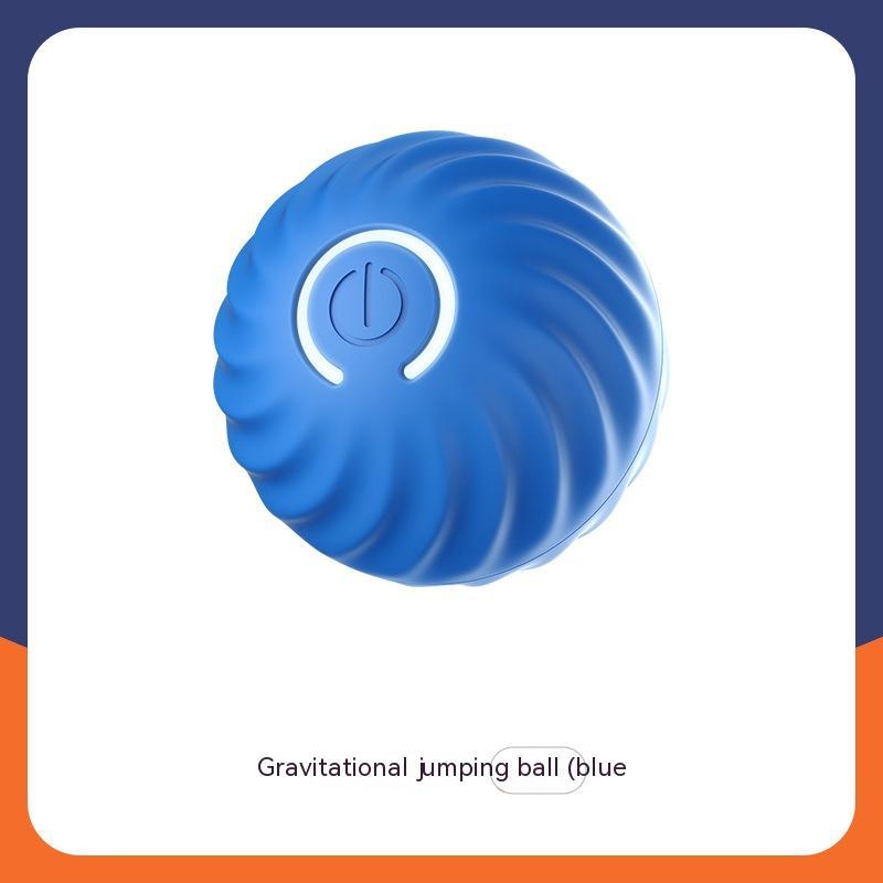 Pet Toy Ball