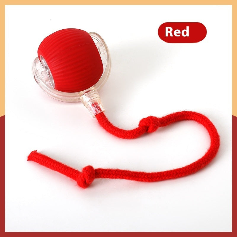 Interactive Rolling Toy Ball