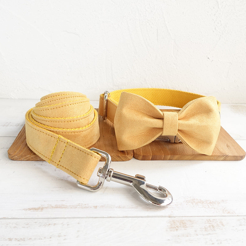 Pet Dog collar and Leash