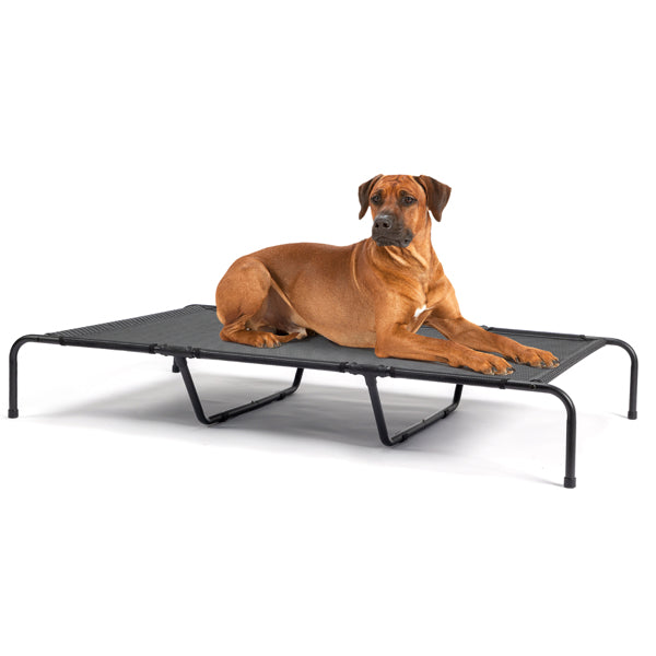 Indoor/Outdoor Elevated Dog Bed