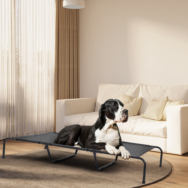 Indoor/Outdoor Elevated Dog Bed