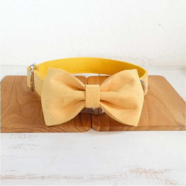 Pet Dog collar and Leash