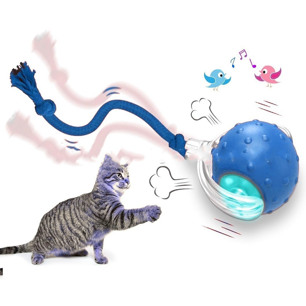 Interactive Rolling Toy Ball