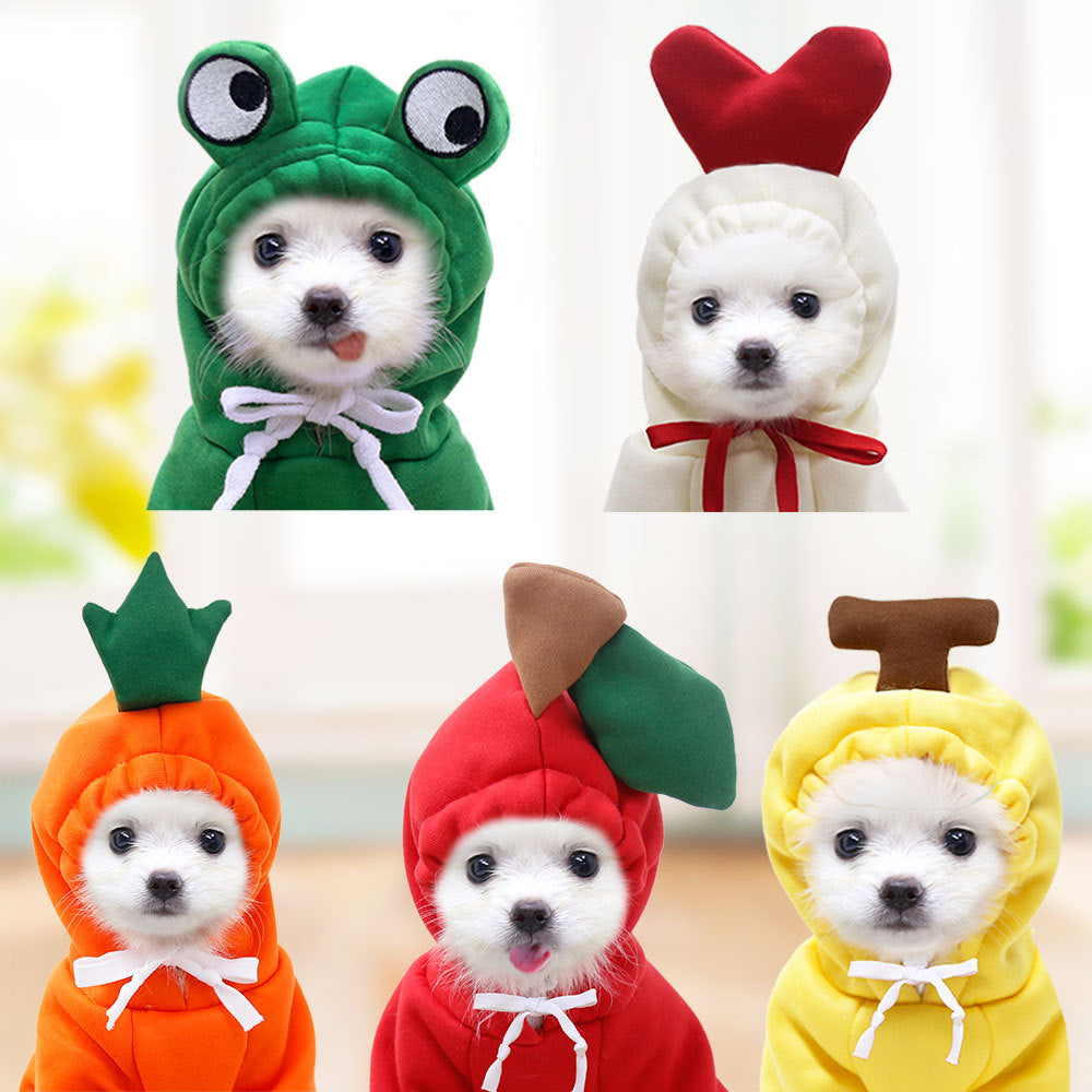 Cute Clothes For Small Dogs