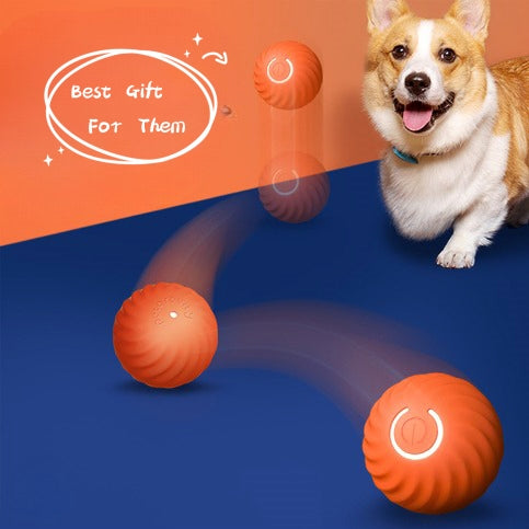 Pet Toy Ball