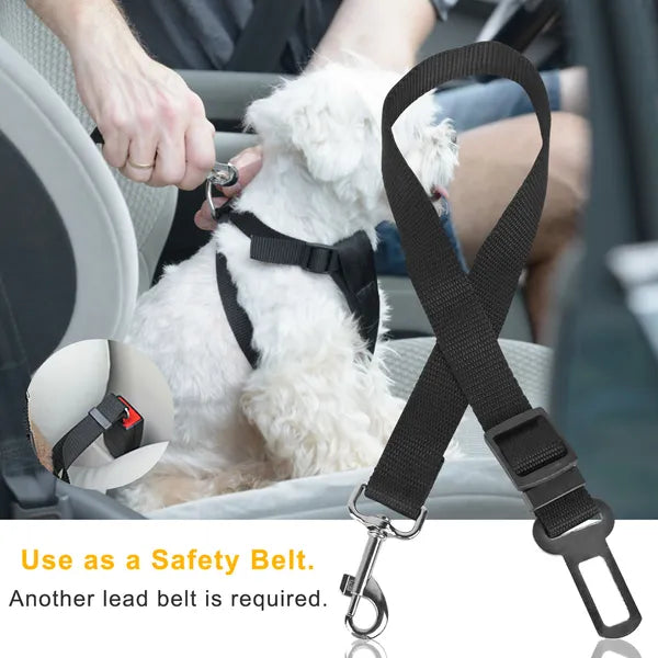 2Pcs Pet Dog Belt Leash