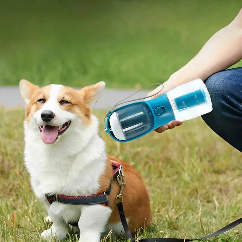 Multi-functional Pet Cups