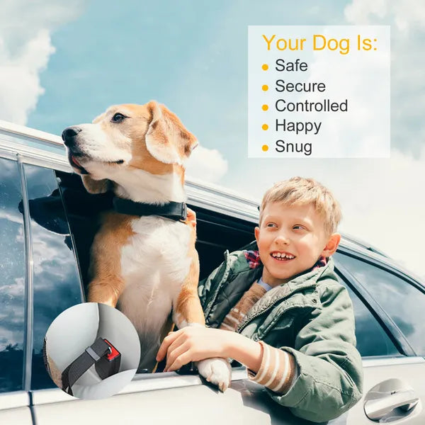 2Pcs Pet Dog Belt Leash