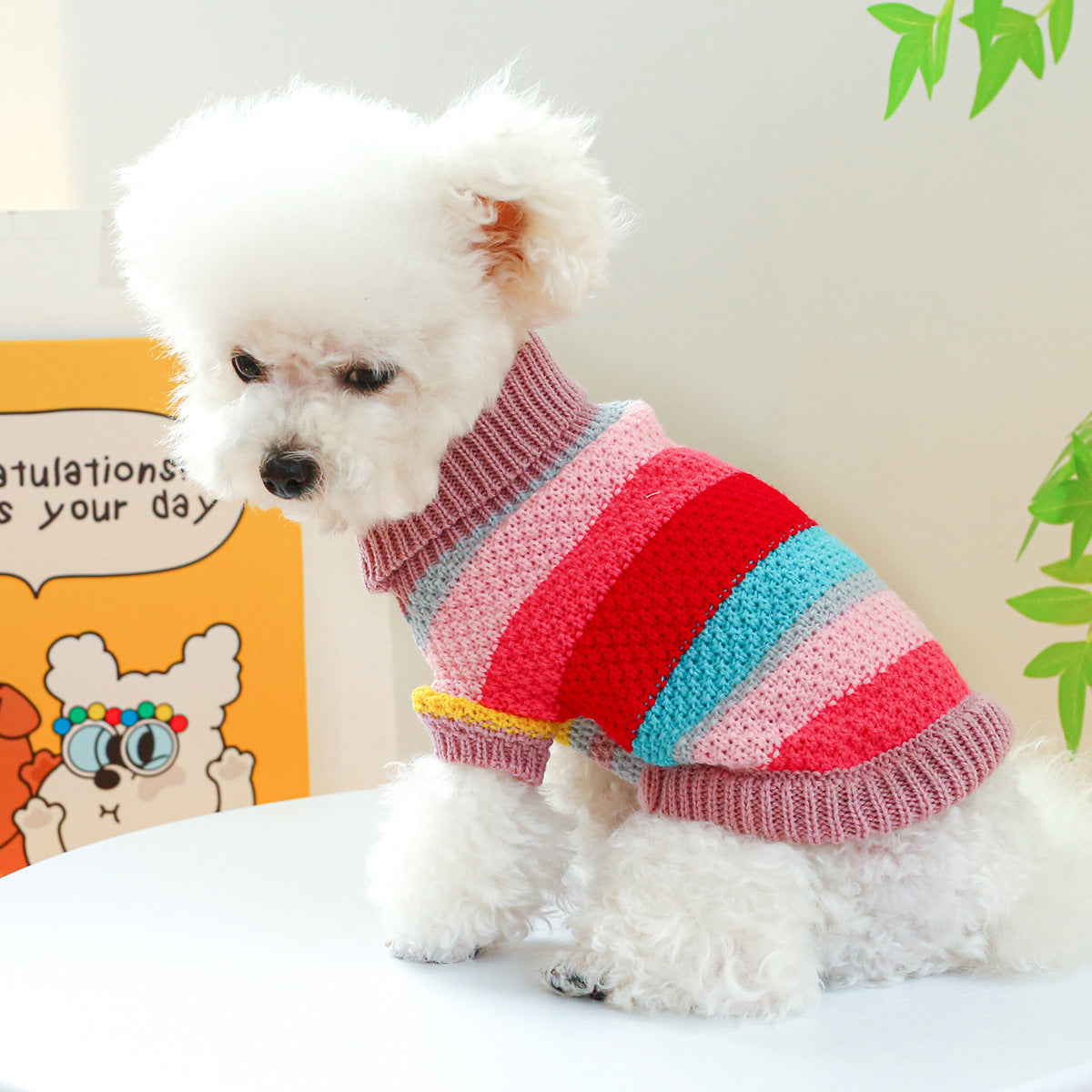 Pet Comfortable Sweater