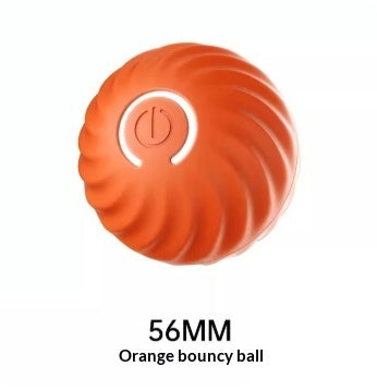 Pet Toy Ball