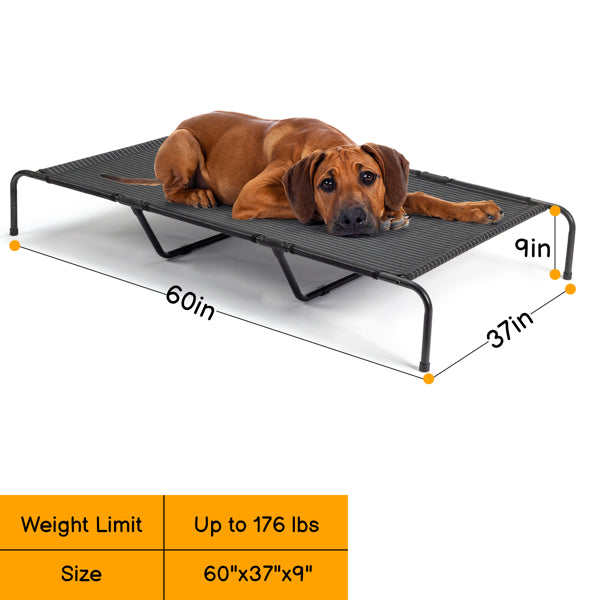 Indoor/Outdoor Elevated Dog Bed
