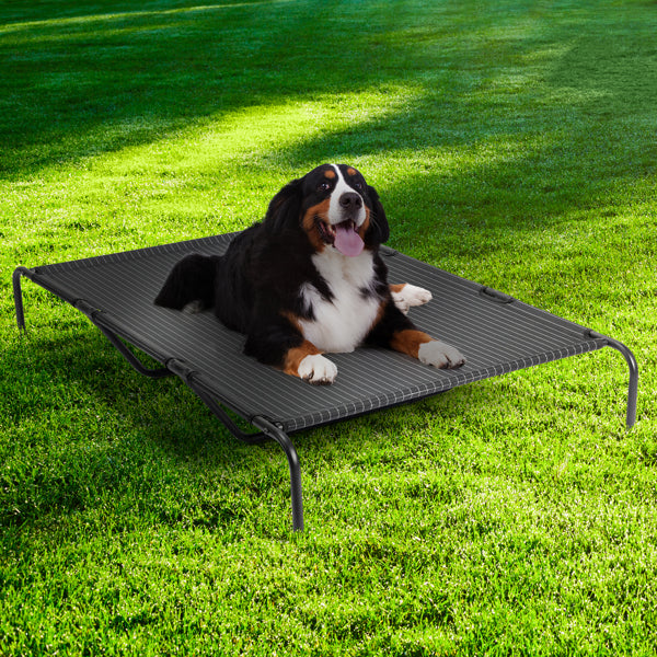 Indoor/Outdoor Elevated Dog Bed