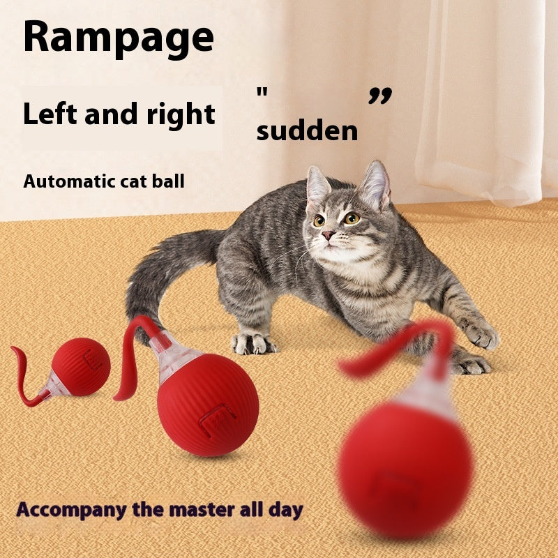 Interactive Rolling Toy Ball