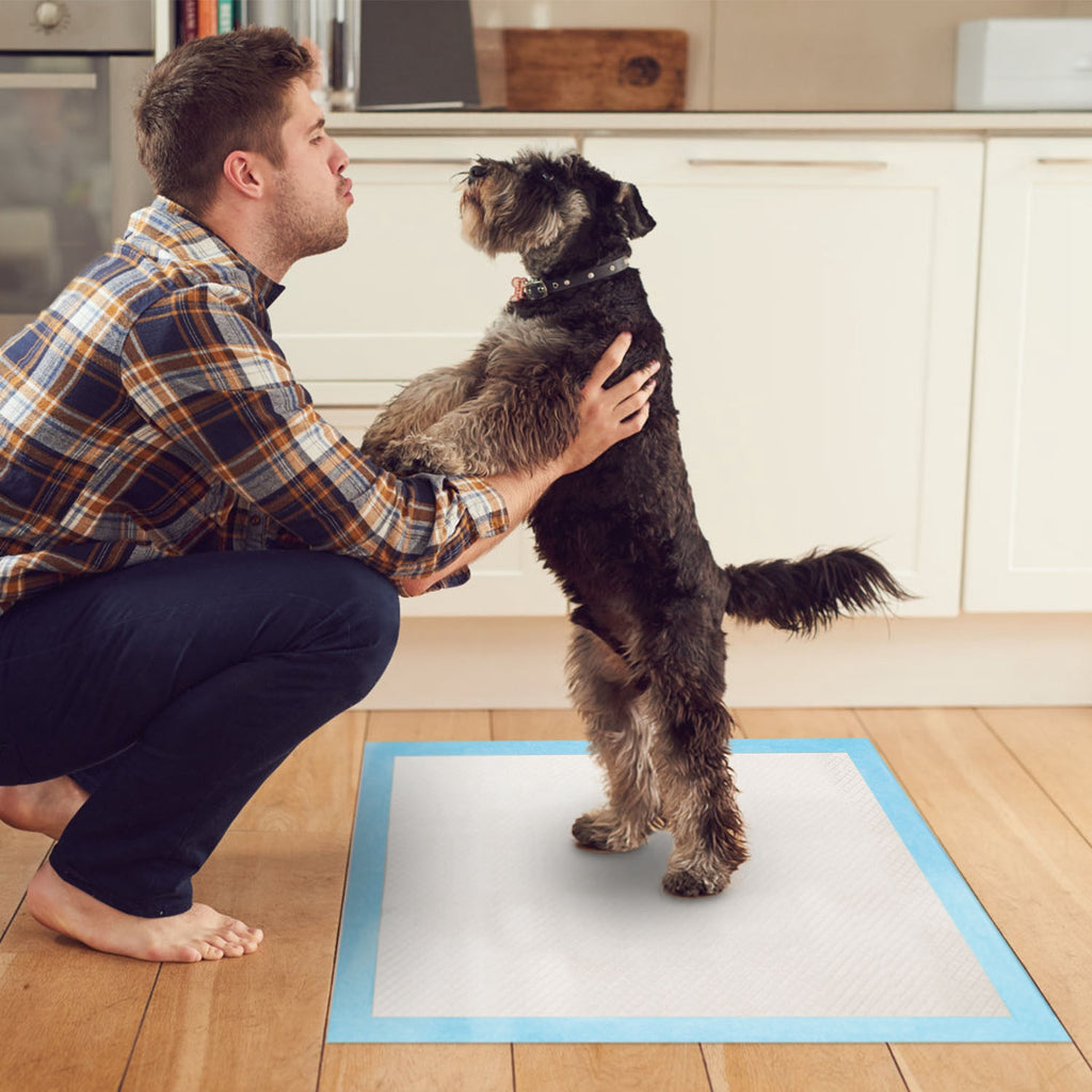 50Pcs Pet Pee Pads