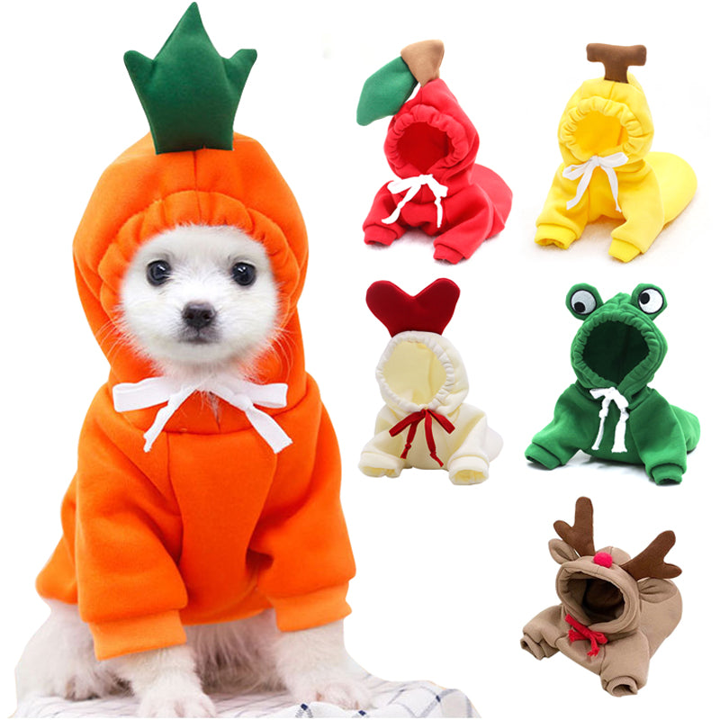 Cute Clothes For Small Dogs