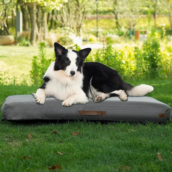 Medium Dog Outdoor Bed for Summer
