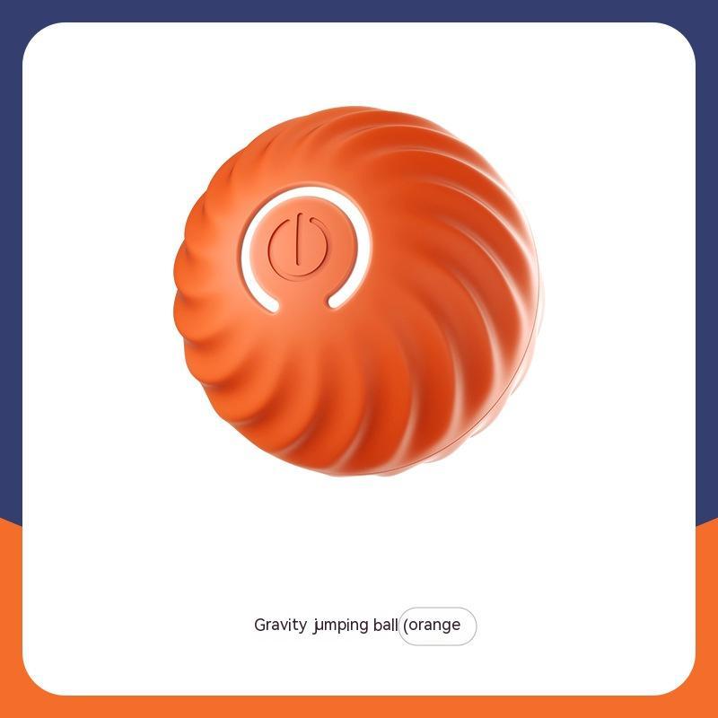 Pet Toy Ball