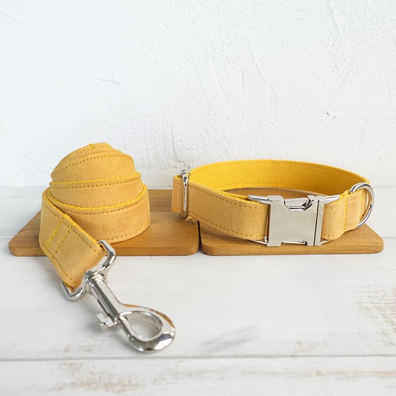 Pet Dog collar and Leash